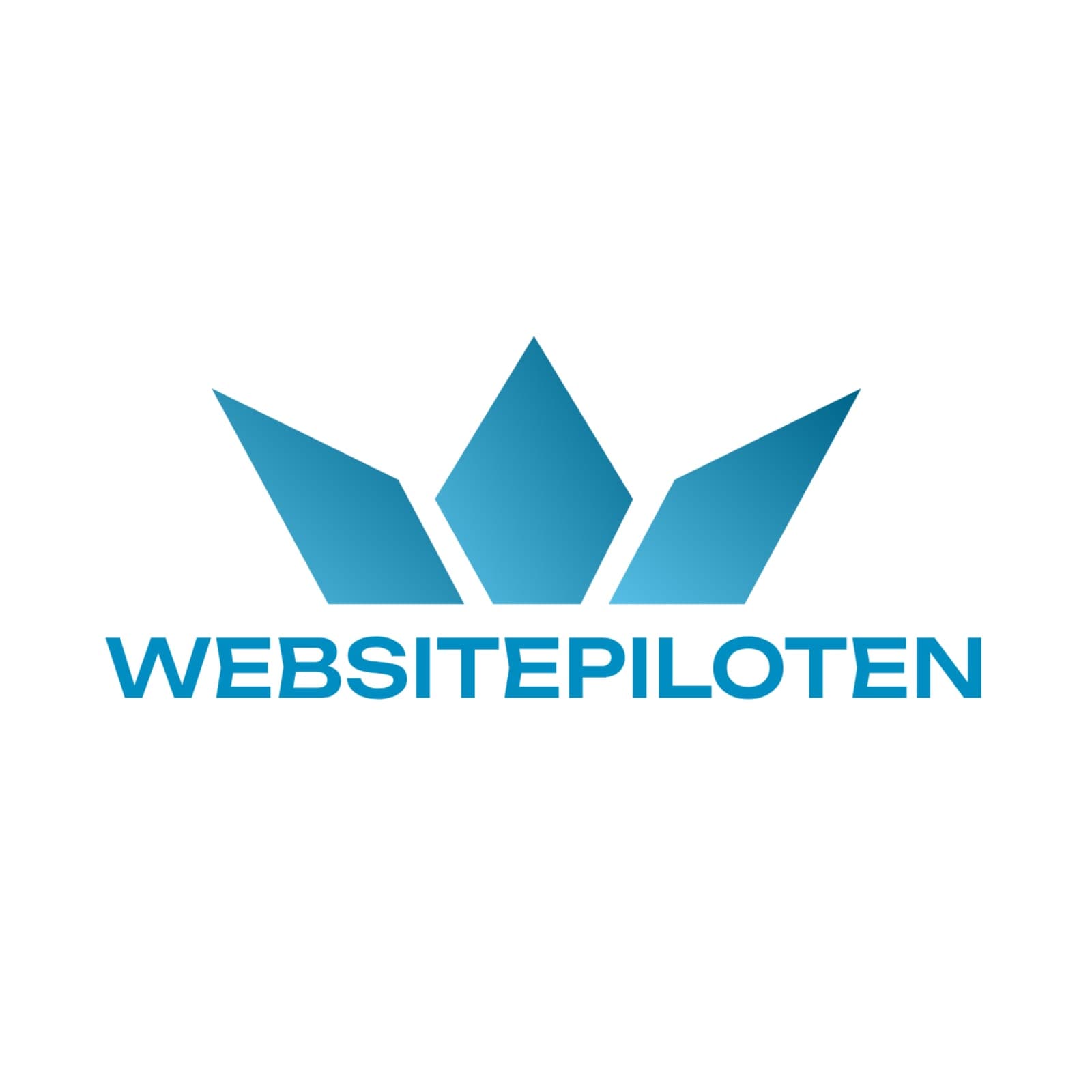 Websitepiloten Logo Logo der E-Learning-Plattform Websitepiloten